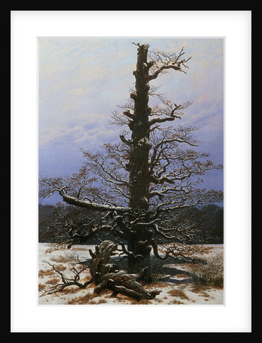 Oak Tree in the Snow by Caspar David Friedrich