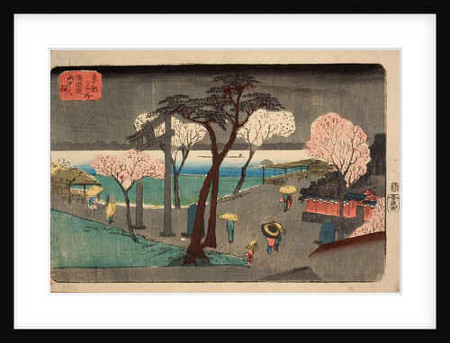 Cherry Trees in Rain on the Sumida River Embankment. (Sumida zutsumi uchû no sakura) by Utagawa Hiroshige