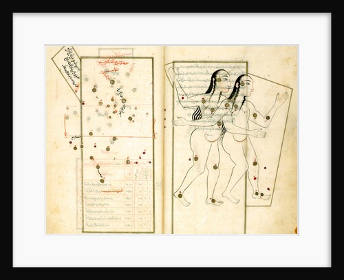 The Constellation Gemini by Iranian master