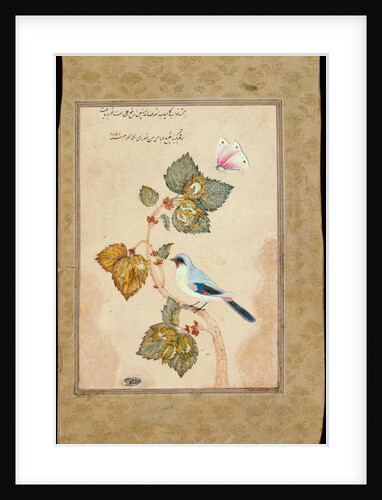 A Bird on a Hazel Branch by Muhammad Shafi Abbasi