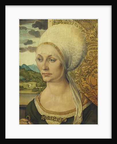 Portrait of Elsbeth Tucher by Albrecht Dürer