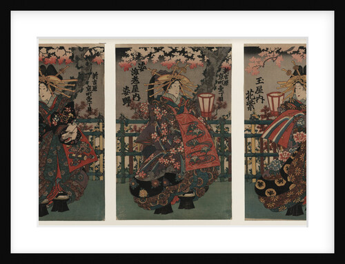 Courtesans Shigeoka, Sugatano and Hanamurasaki. Triptych by Anonymous