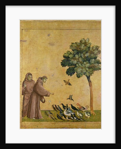 The Sermon to the Birds by Giotto di Bondone