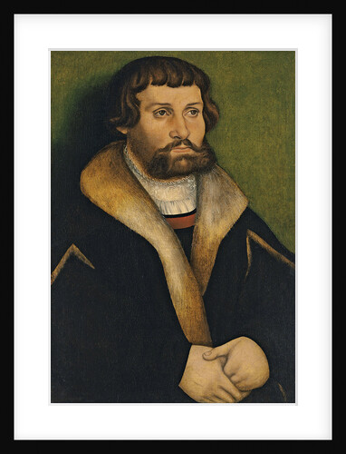Portrait of a bearded Man by Hans Cranach