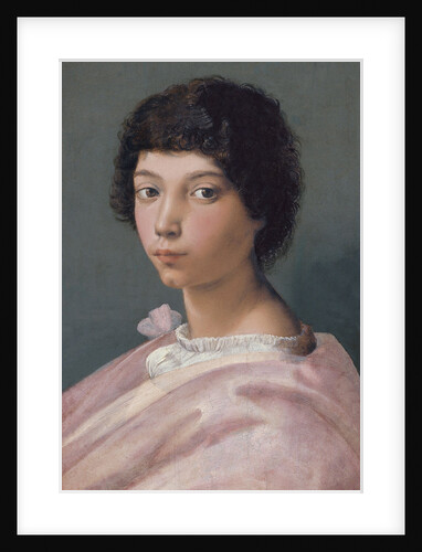 Portrait of a young Man by Raphael