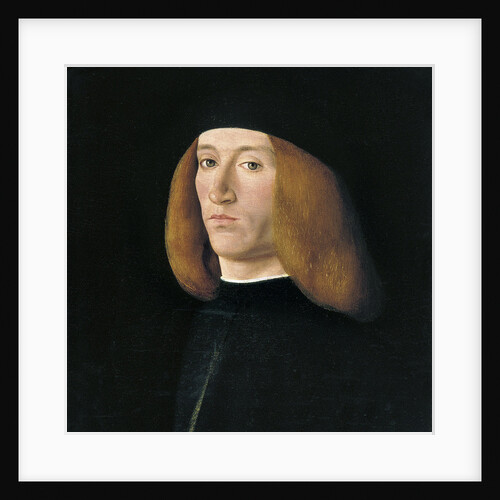 Portrait of a Young Man by Andrea Solari