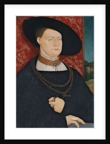Portrait of a Man by Bernhard Strigel