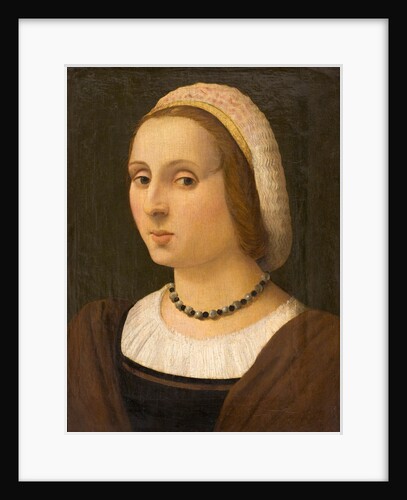 Portrait of a Lady by Vincenzo Tamagni