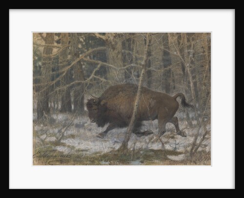 The wood bison by Evgeny Alexandrovich Tichmenev