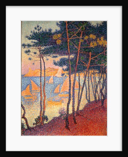 Sails and pines by Paul Signac