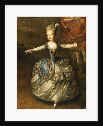 Fête Organized to Celebrate the Marriage of the Emperor Joseph II to Princess Marie-Josèphe of Bavar by Georg Weikert