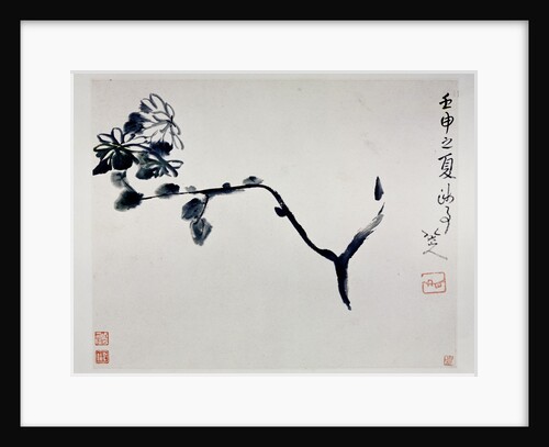 Chrysanthemum, 1692 by Zhu Da