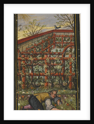 Illustration for The wonderful summer time of eternal life von Jacob Zader, 1603 by Anonymous