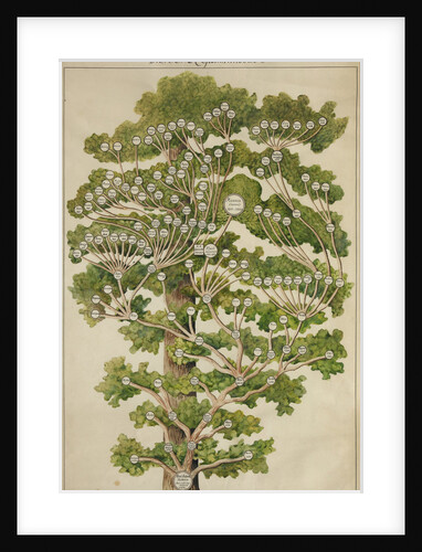 The family tree of Mikhail Lermontov, 1930s by Anonymous