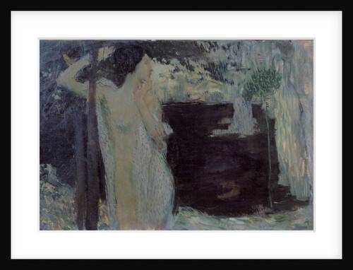 Woman at Black Lake, 1904 by Jan Preisler