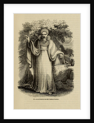 Arch-Druid in his full Judicial Costume by Anonymous
