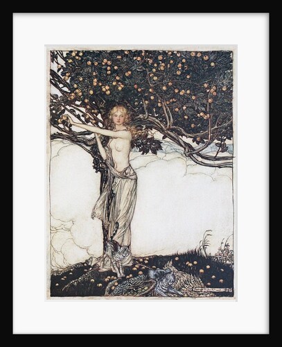 Freia, the fair one. Illustration for The Rhinegold and The Valkyrie by Richard Wagner, 1910 by Arthur Rackham