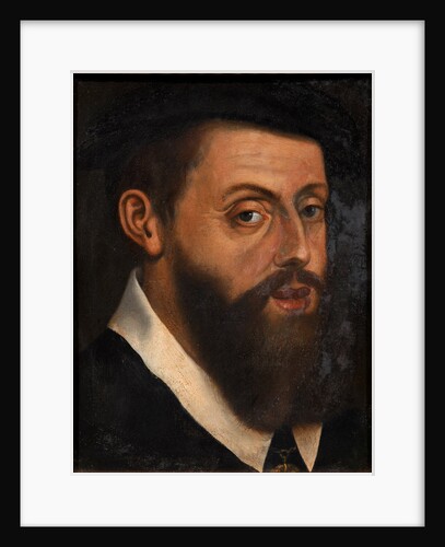 Portrait of the Emperor Charles V by Jan Cornelisz. Vermeyen