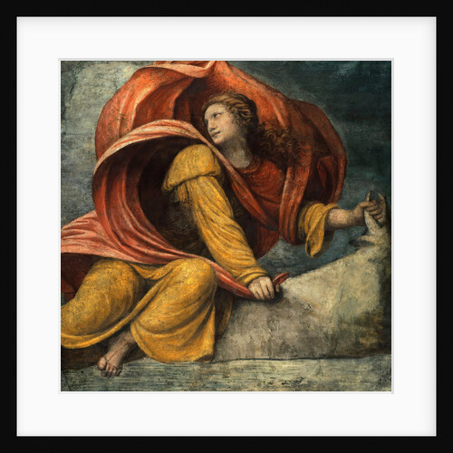 The Rape of Europa by Bernardino Luini