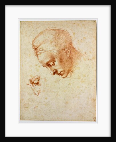 Study to the head of Leda, ca 1530 by Michelangelo Buonarroti