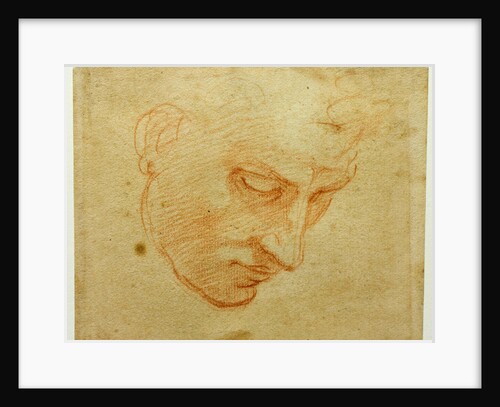 Head Study to the Sistine Chapel ceiling, ca 1509-1510 by Michelangelo Buonarroti