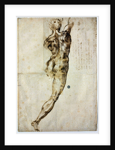 Nude from behind, c. 1504 by Michelangelo Buonarroti