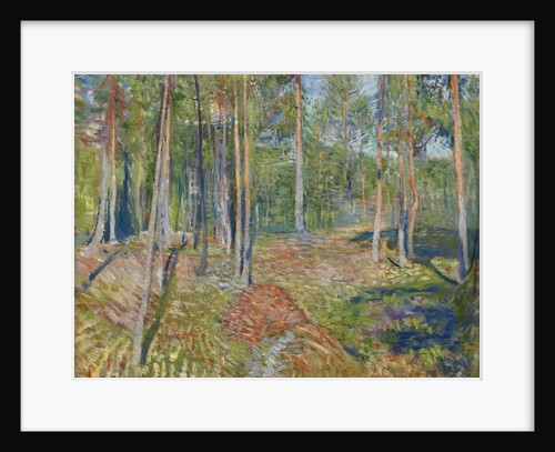 Pine Forest, 1891-1892 by Edvard Munch