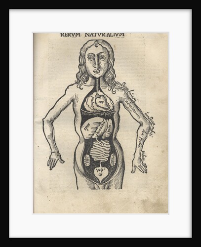 Margarita Philosophica. Anatomy, 1504 by Gregor Reisch