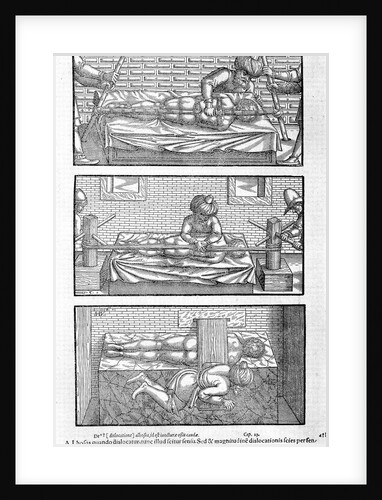 Illustration from Liber canonis de medicinis cordialibus by Avicenna, 1556 by Anonymous