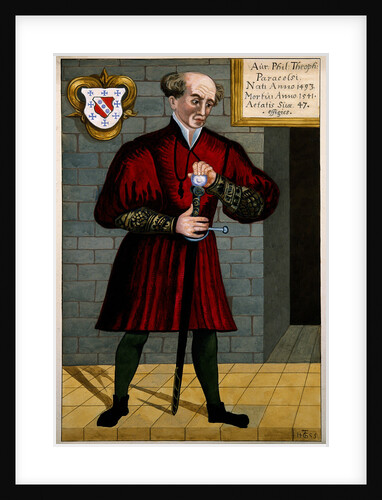 Philippus Theophrastus Aureolus Bombastus von Hohenheim (Paracelsus), c. 1550 by Anonymous
