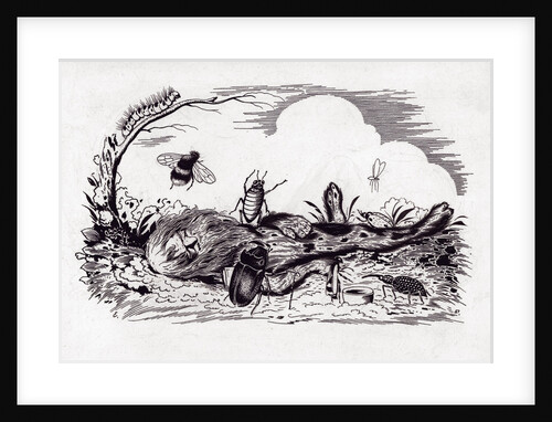 Bolotnik by Yevgeny Dmitrievich Belukha