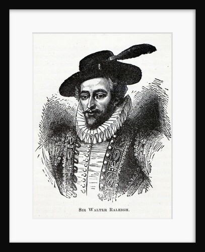 Sir Walter Raleigh, 1882 by Anonymous