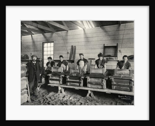 Dynamite mixing, Ardrossan, 1897 by Anonymous