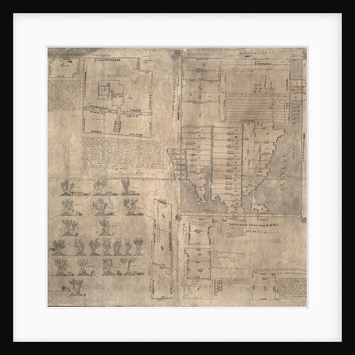 Aztec Oztoticpac map, c.1540 by Pre-Columbian art