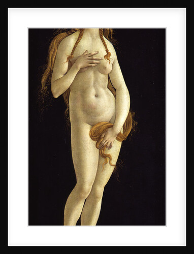 Venus, 1490 by Anonymous