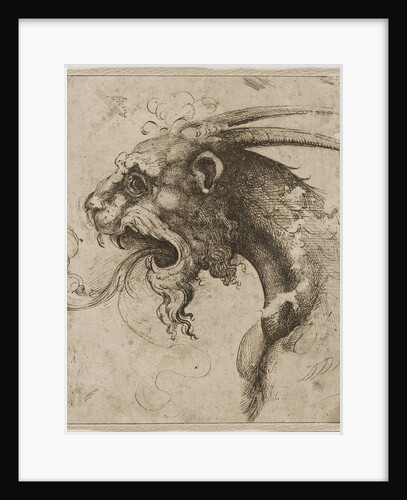 Head of a Chimera by Anonymous