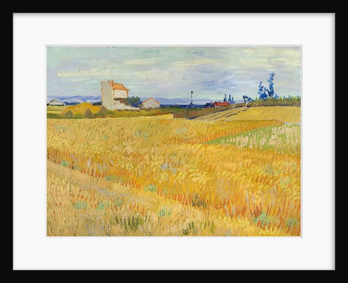 Wheat Field (Champ de blé), 1888 by Anonymous