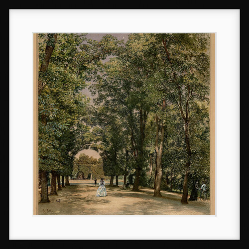 Avenue in the Schönbrunn palace park, ca 1871-1874 by Anonymous