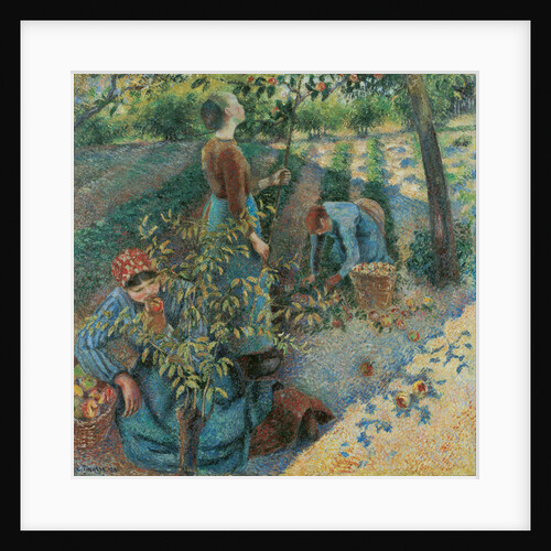 Apple Picking, 1886 by Anonymous