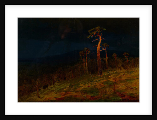 In the Crimea, 1900-1905 by Anonymous