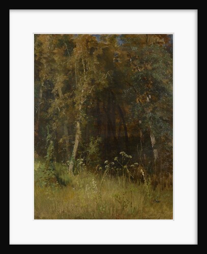 Forest Thicket, 1874 by Anonymous