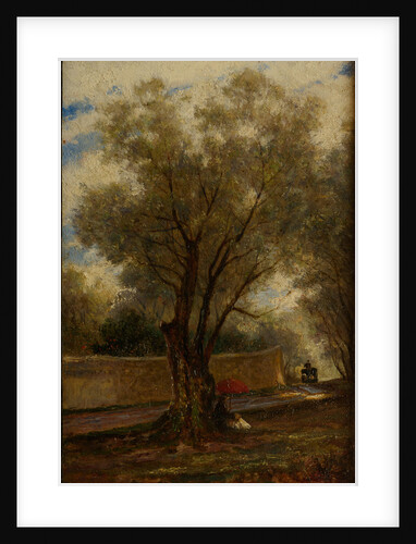 Olive Trees at Menton, 1881 by Anonymous