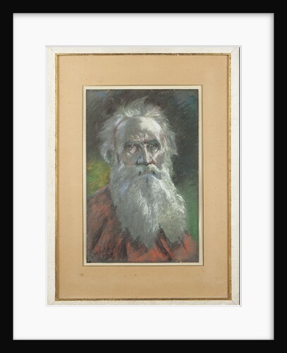 Portrait of the author Count Lev Nikolayevich Tolstoy by Anonymous