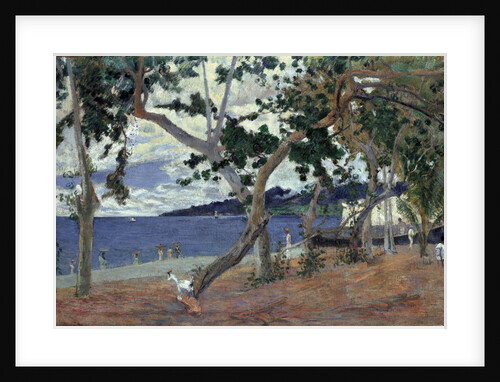 At the seashore, Martinique by Anonymous