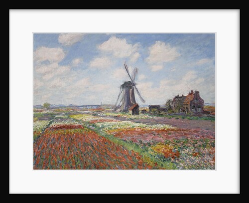 Tulip fields in Holland (Champs de tulipes en Hollande) by Anonymous