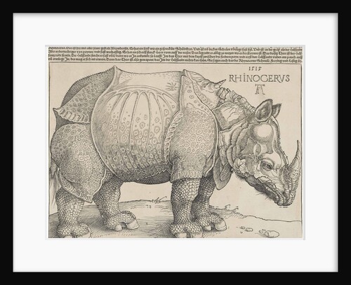 The Rhinoceros by Anonymous