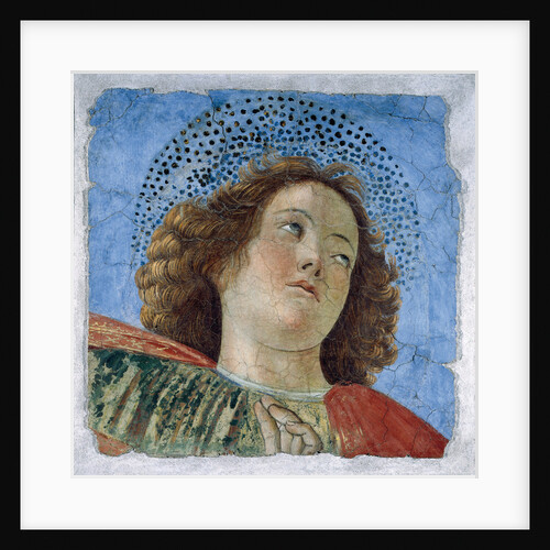 Head Of A Young Apostle by Anonymous