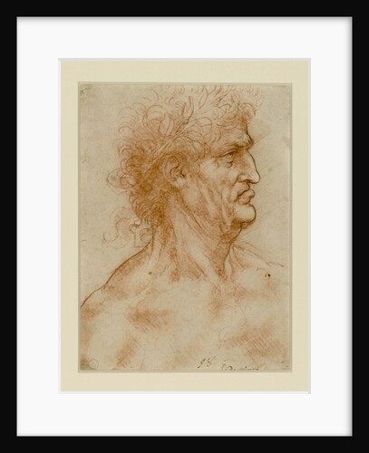 Head Of A Man In Profile Crowned With Laurel by Anonymous