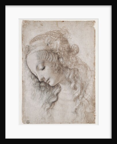 Study Of Female Face by Anonymous