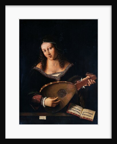 The Lute Player by Anonymous